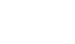 zst logo weiss