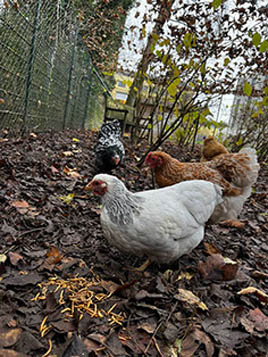 9bbeeebe cdb3 4e99 b3ce cb8c3eb53d55