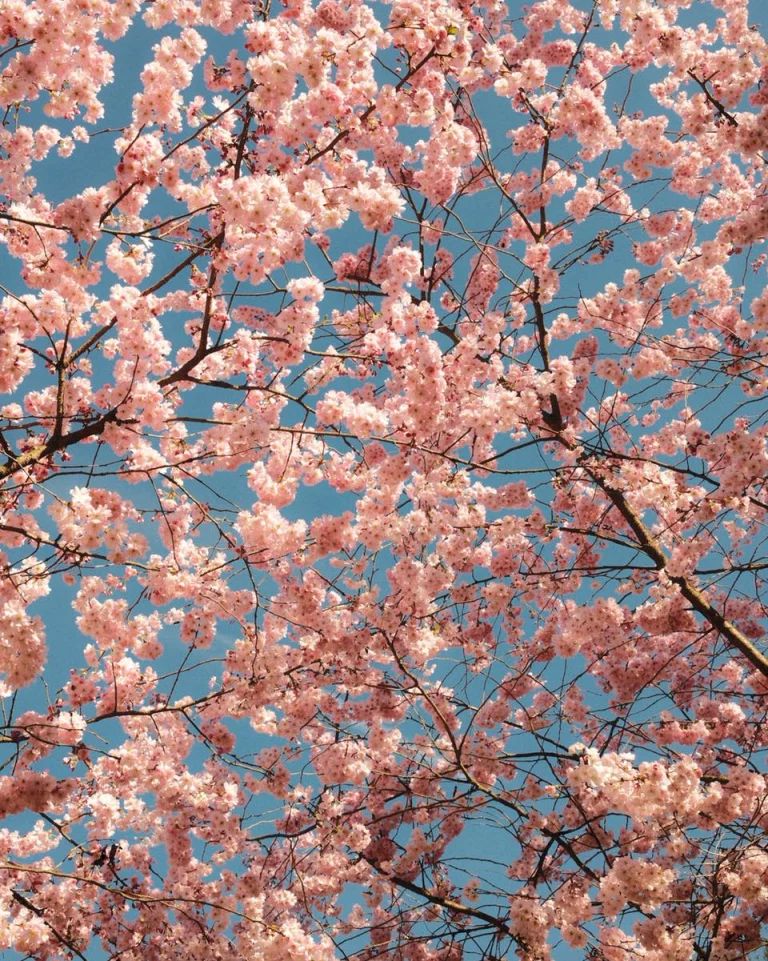 Instagram post from zaubersterne.nrw. This post is in position 1.