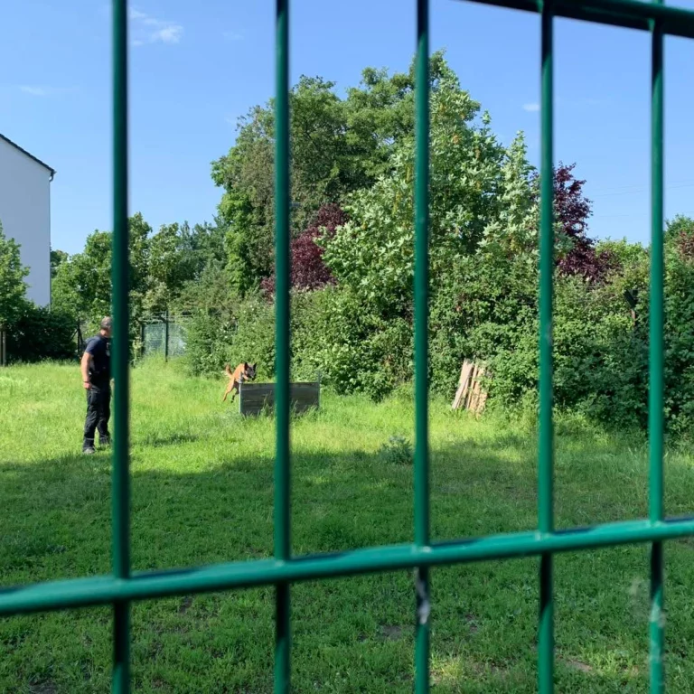 Instagram post from zaubersterne.nrw. This post is in position 2.