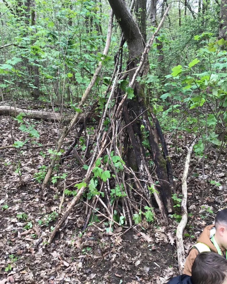 Instagram post from zaubersterne.nrw. This post is in position 4.