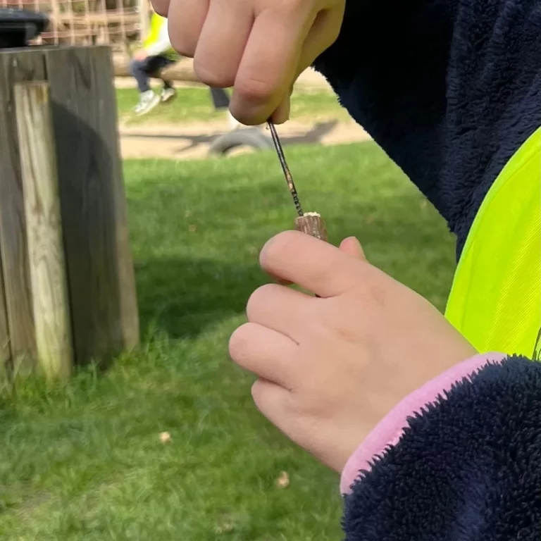 Instagram post from zaubersterne.nrw. This post is in position 11.