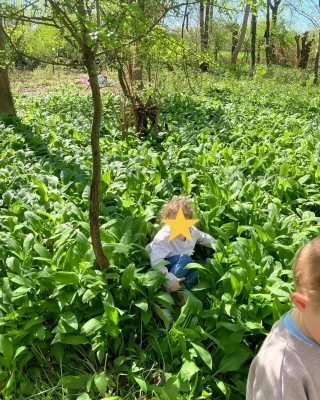 Instagram post from zaubersterne.nrw. This post is in position 1.