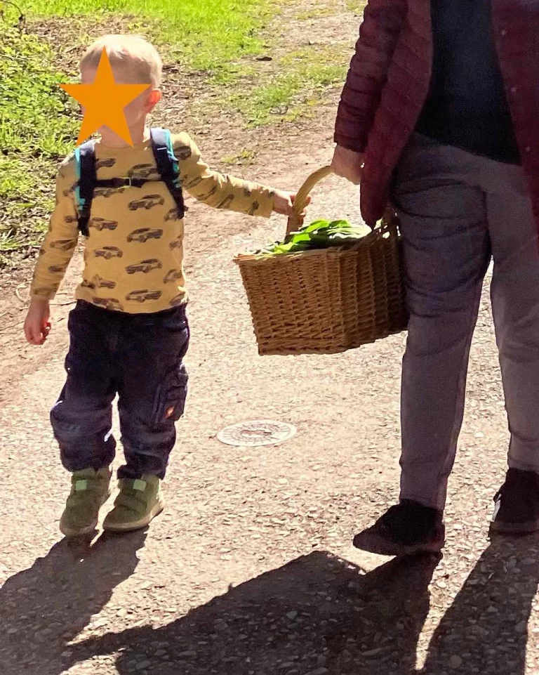 Instagram post from zaubersterne.nrw. This post is in position 8.