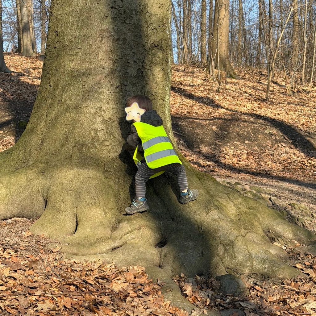 Instagram post from zaubersterne.nrw. This post is in position 3.