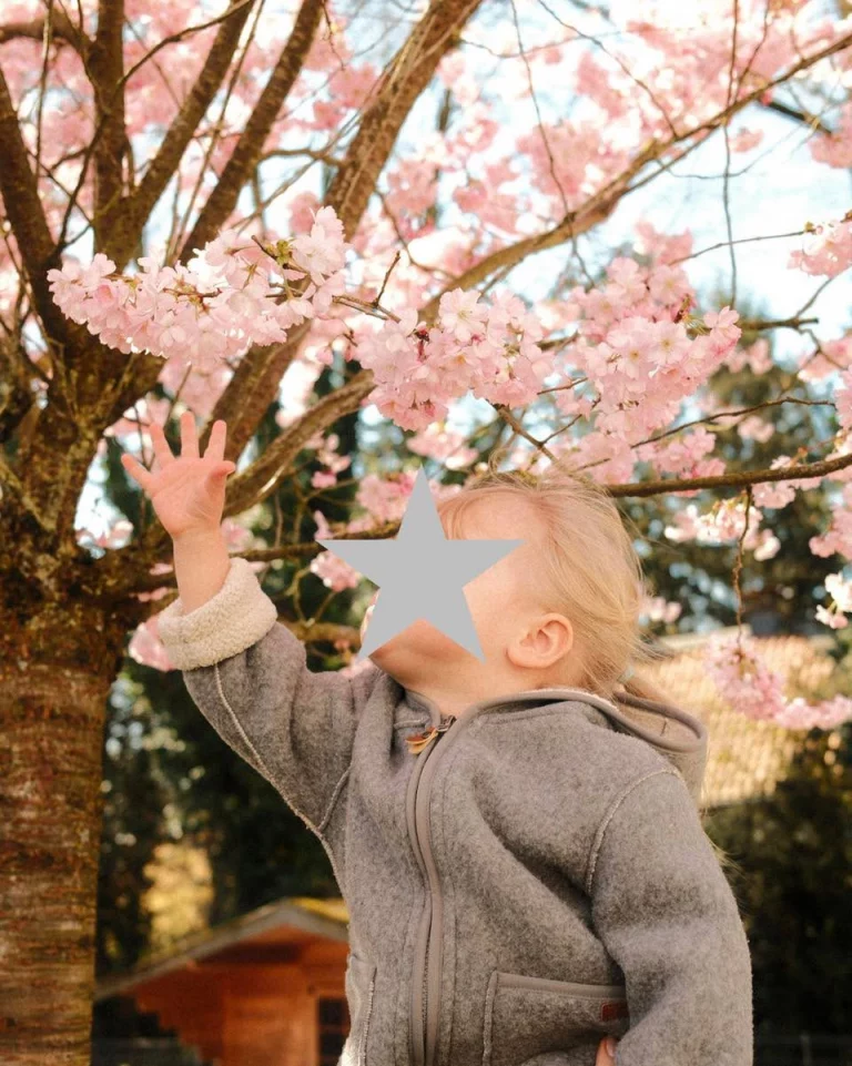 Instagram post from zaubersterne.nrw. This post is in position 0.