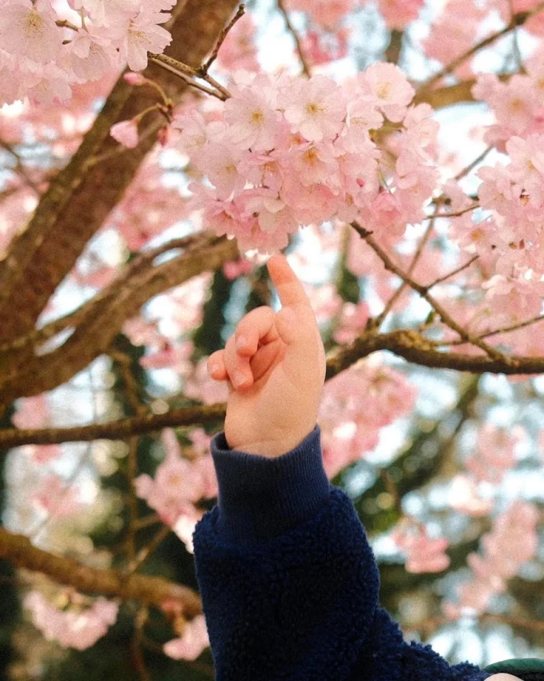 Instagram post from zaubersterne.nrw. This post is in position 3.