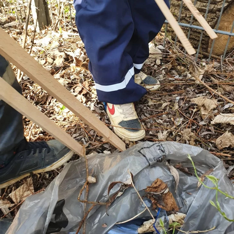 Instagram post from zaubersterne.nrw. This post is in position 4.