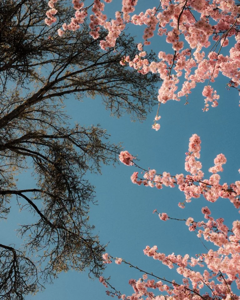 Instagram post from zaubersterne.nrw. This post is in position 6.