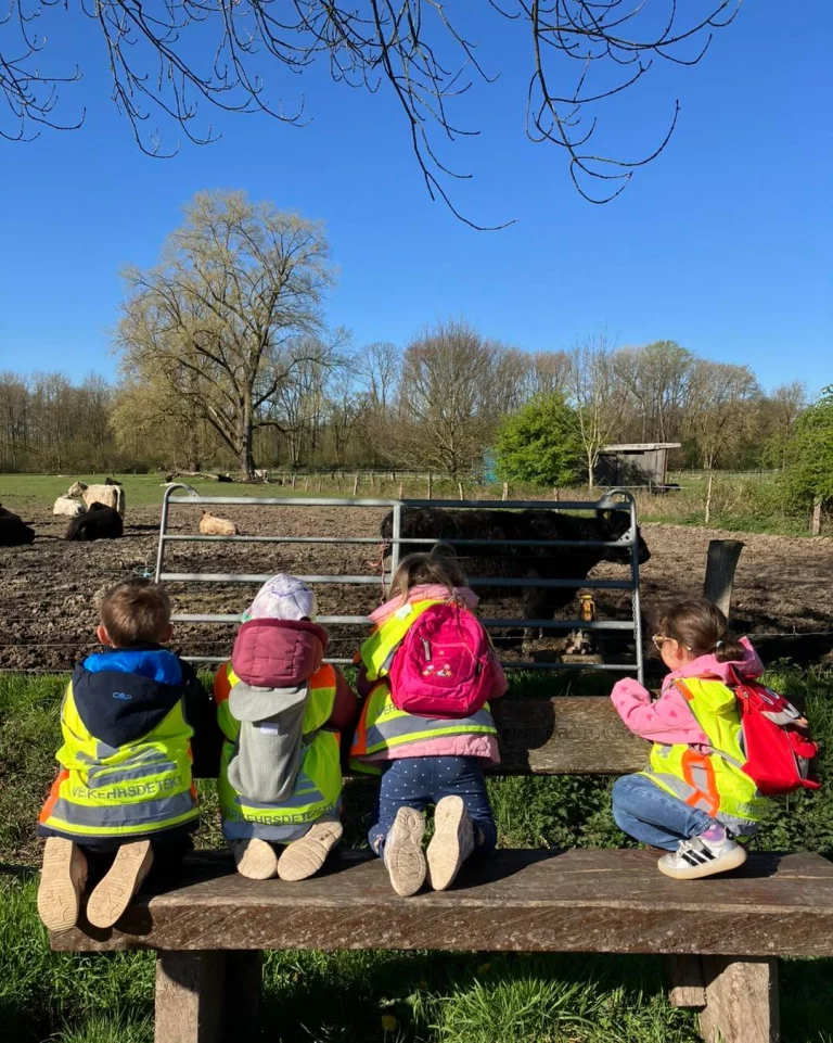 Instagram post from zaubersterne.nrw. This post is in position 6.