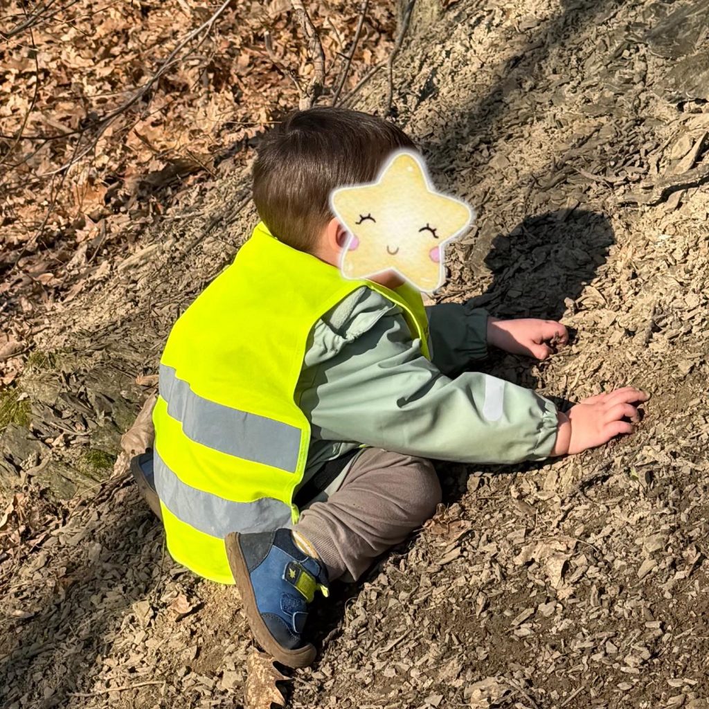 Instagram post from zaubersterne.nrw. This post is in position 5.
