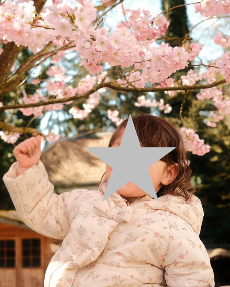 Instagram post from zaubersterne.nrw. This post is in position 2.