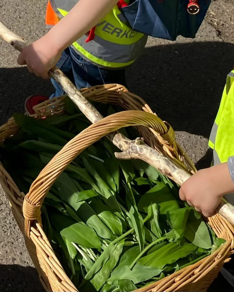 Instagram post from zaubersterne.nrw. This post is in position 9.