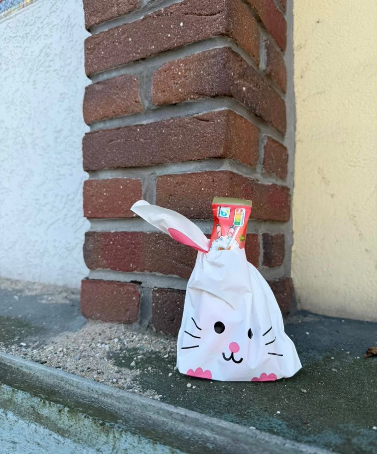 Instagram post from zaubersterne.nrw. This post is in position 5.