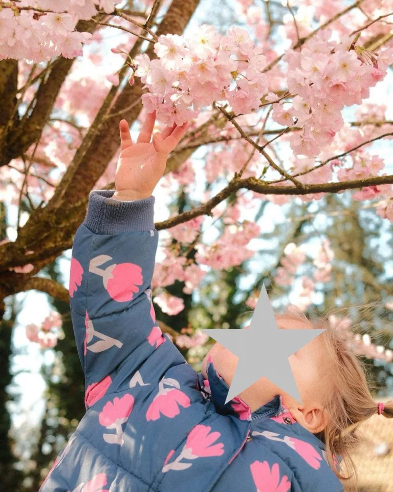 Instagram post from zaubersterne.nrw. This post is in position 5.