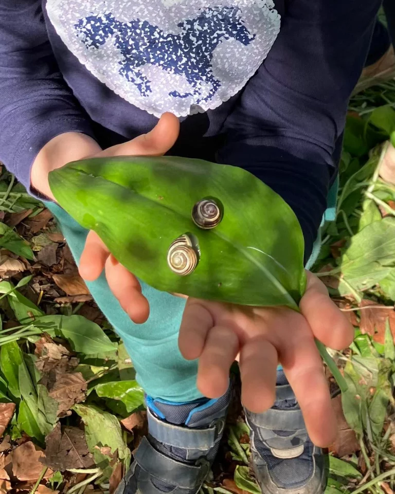 Instagram post from zaubersterne.nrw. This post is in position 3.