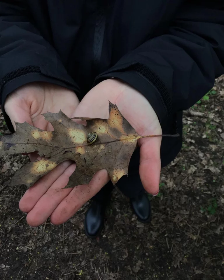 Instagram post from zaubersterne.nrw. This post is in position 6.