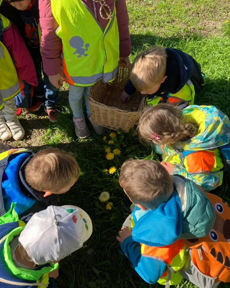 Instagram post from zaubersterne.nrw. This post is in position 1.