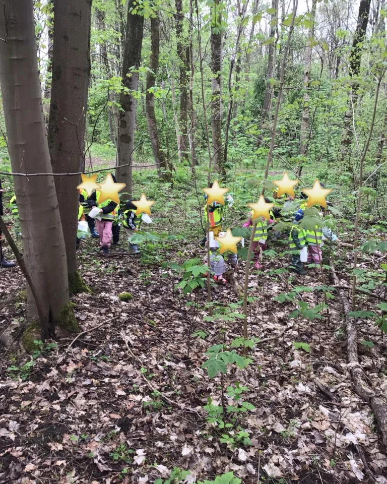 Instagram post from zaubersterne.nrw. This post is in position 1.