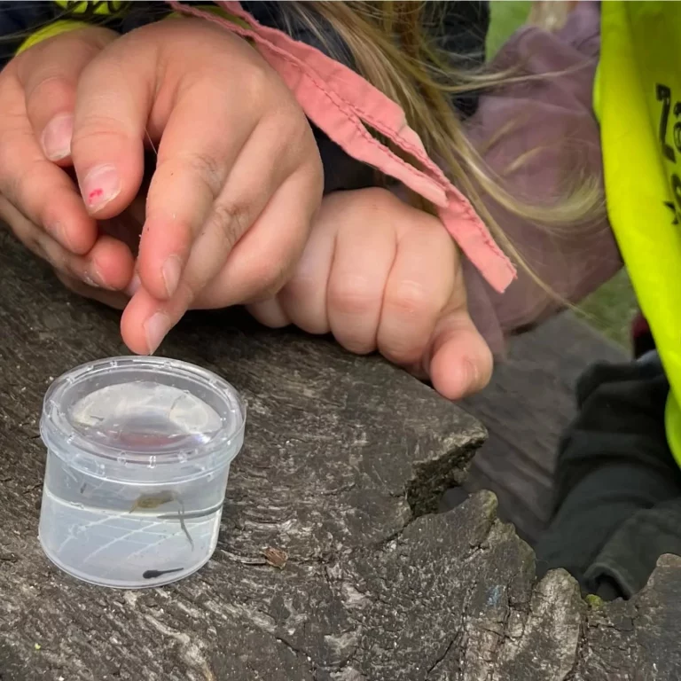 Instagram post from zaubersterne.nrw. This post is in position 4.