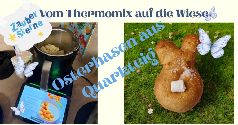 Instagram post from zaubersterne.nrw. This post is in position 8.