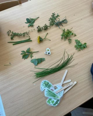 Instagram post from zaubersterne.nrw. This post is in position 15.