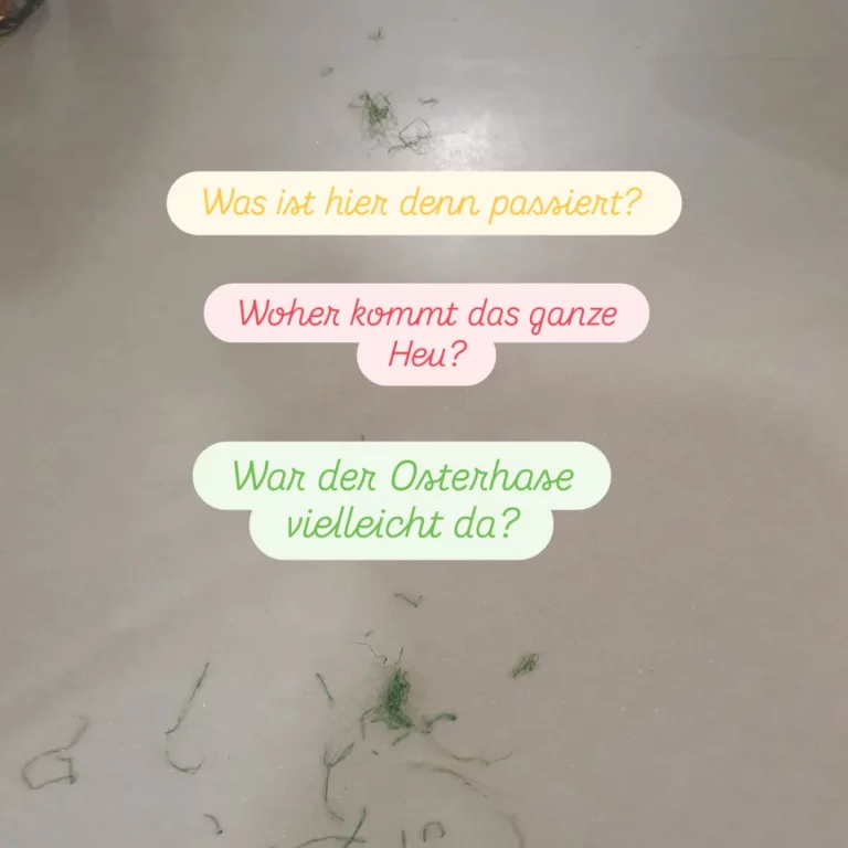 Instagram post from zaubersterne.nrw. This post is in position 5.