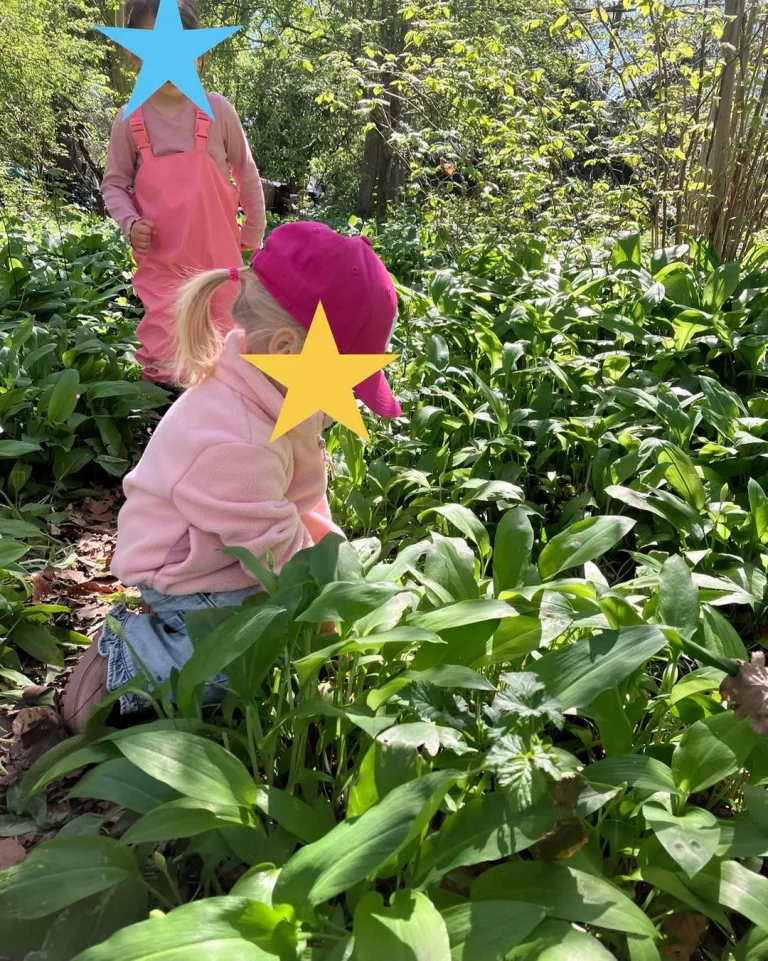 Instagram post from zaubersterne.nrw. This post is in position 4.